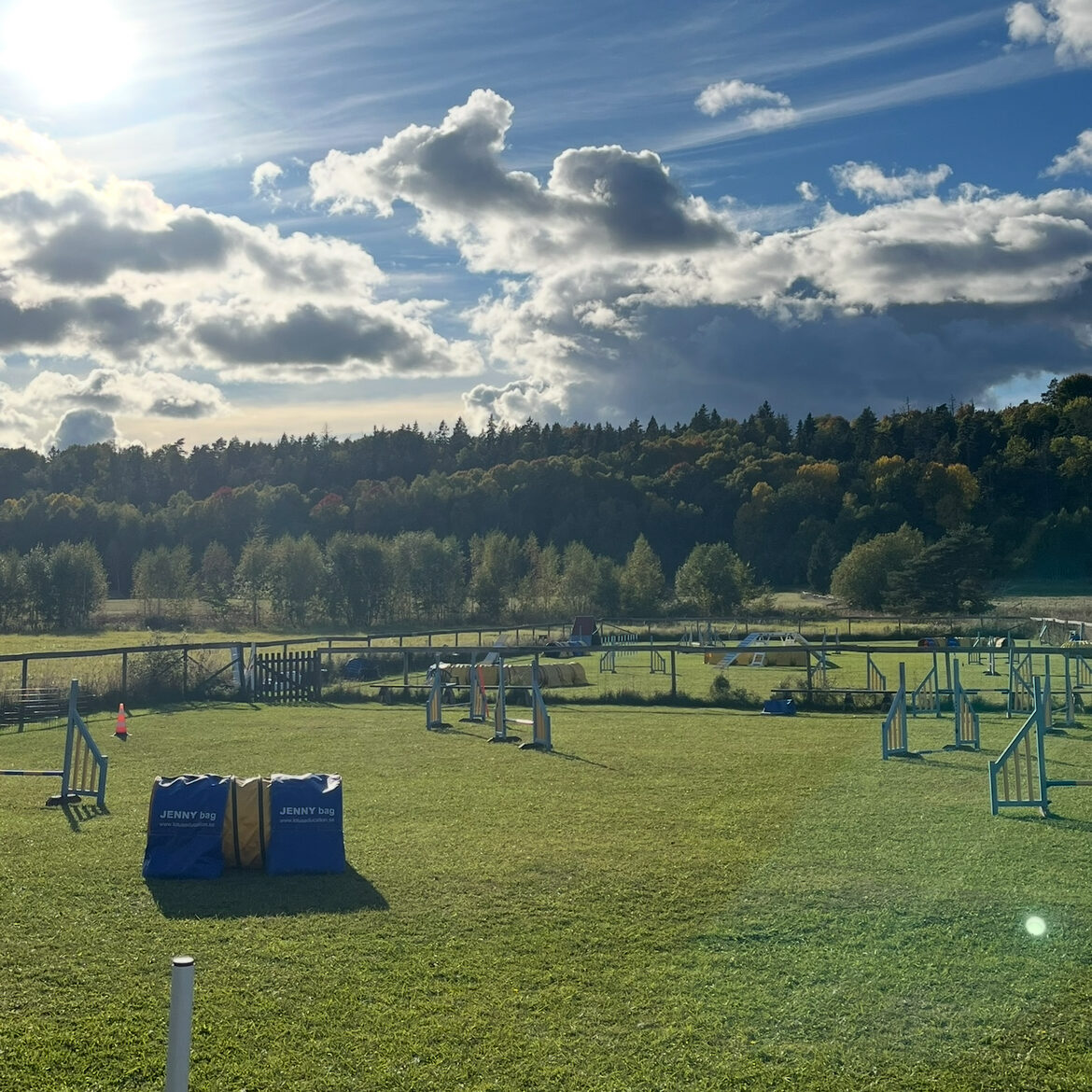 Utsikt över planerna i Hågadalen, solen skiner och på bilden ser man agility hinder